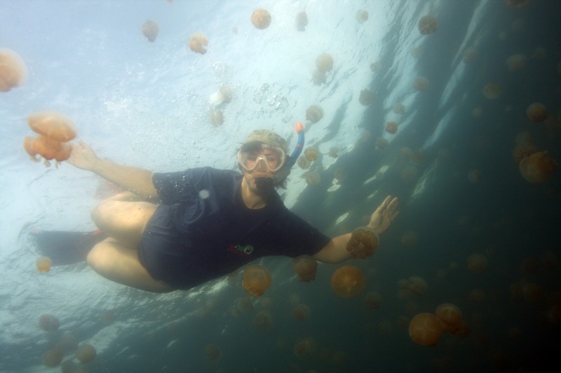 Палау_ноябрь 2010 Палау_ноябрь 2010