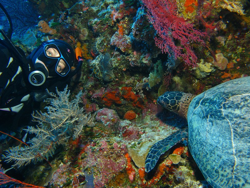 Палау_ноябрь 2010 Палау_ноябрь 2010