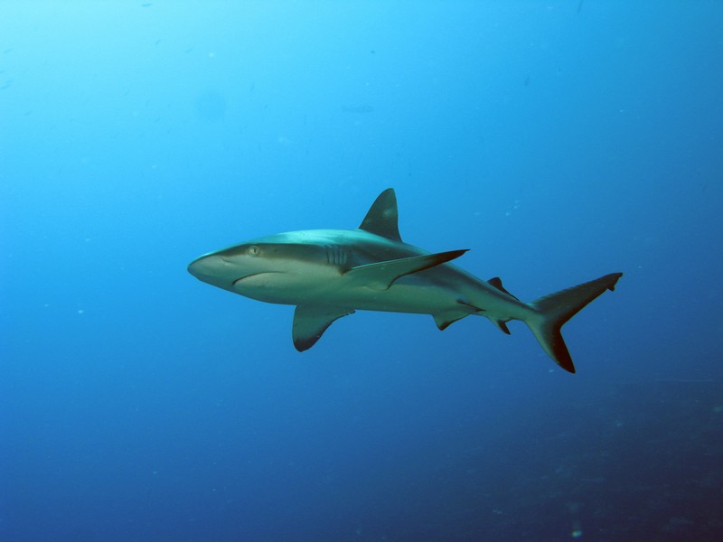 Палау_ноябрь 2010