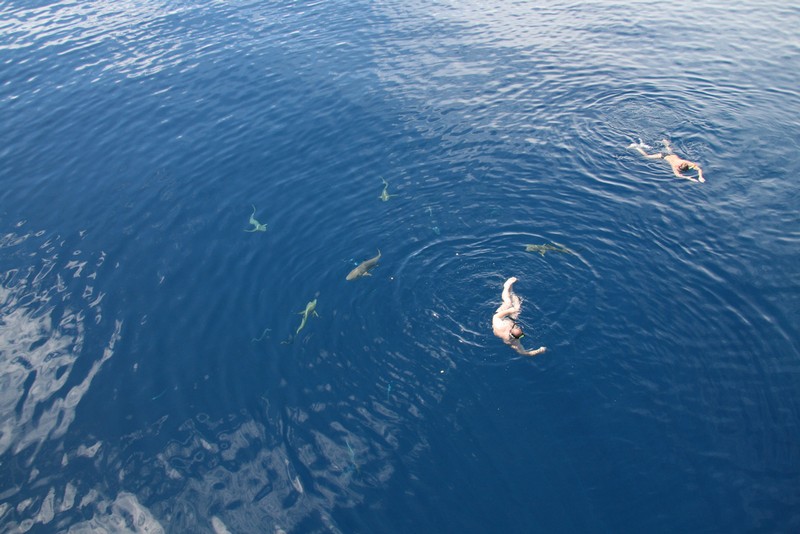 Палау_ноябрь 2010