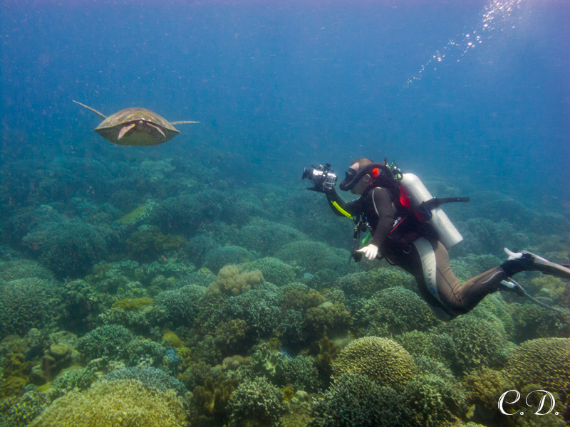 филиппины филиппины
