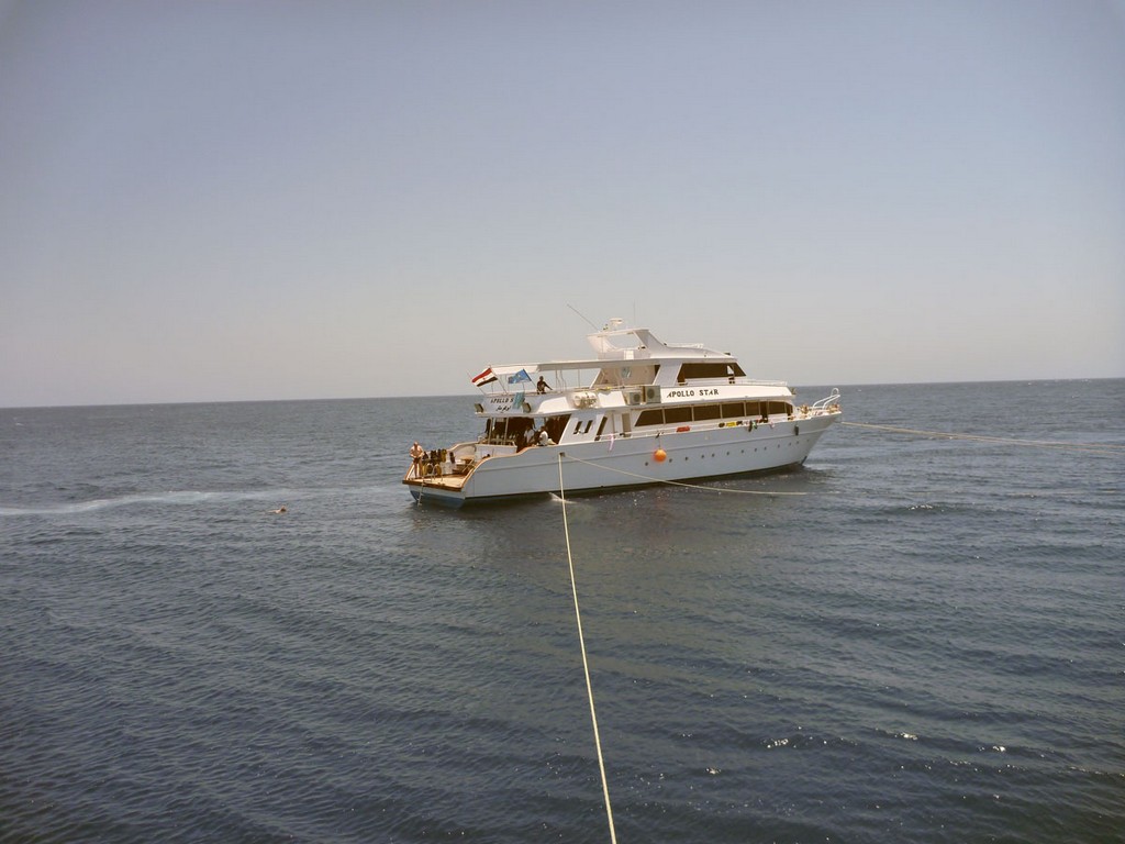 Бразерс 2012 Бразерс 2012