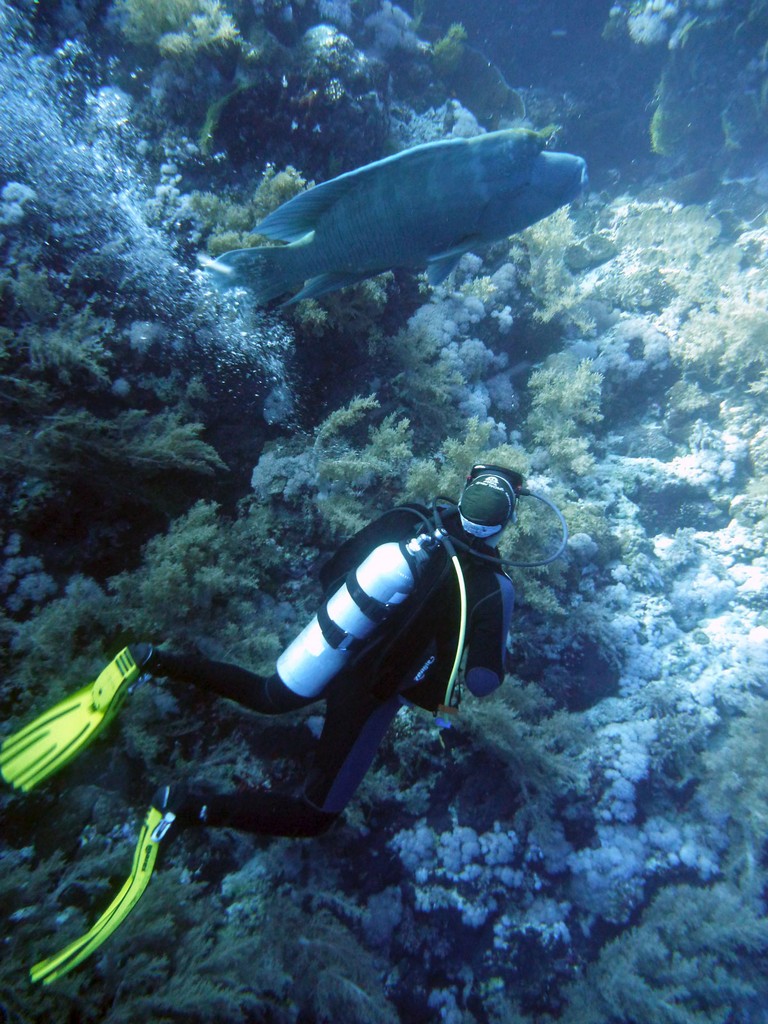 Бразерс 2012 Бразерс 2012