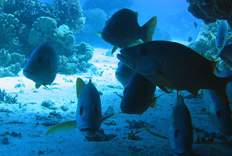 Хургада - 2007 Хургада - 2007