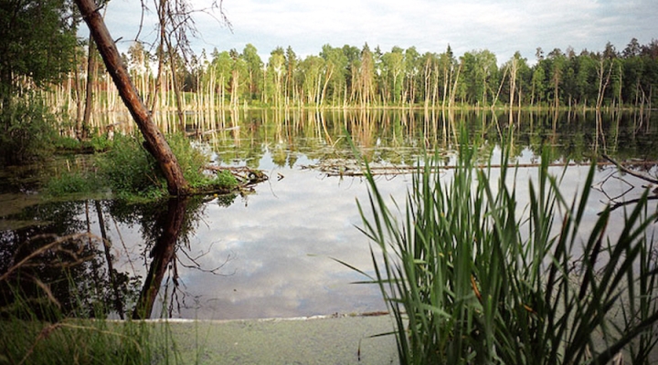 Озеро Смердячье