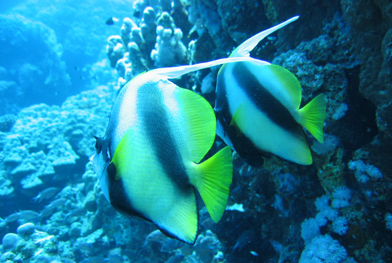 Хургада - 2007 Хургада - 2007