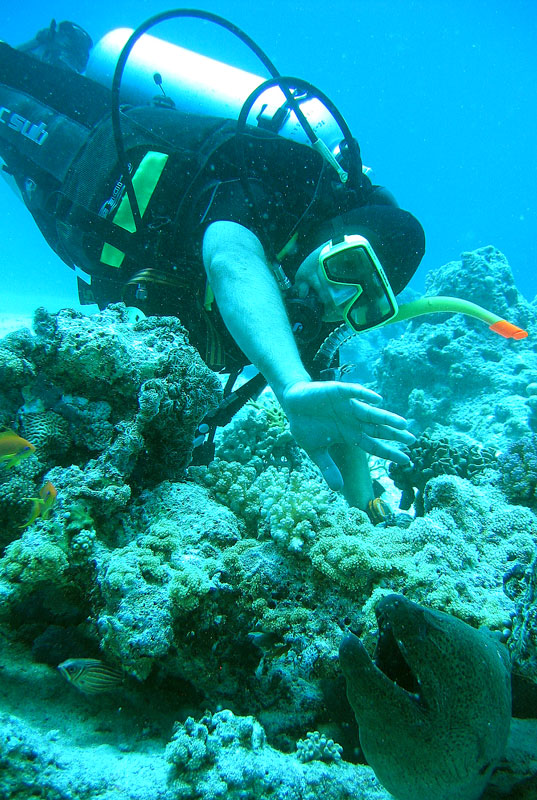 Хургада - 2007 Хургада - 2007