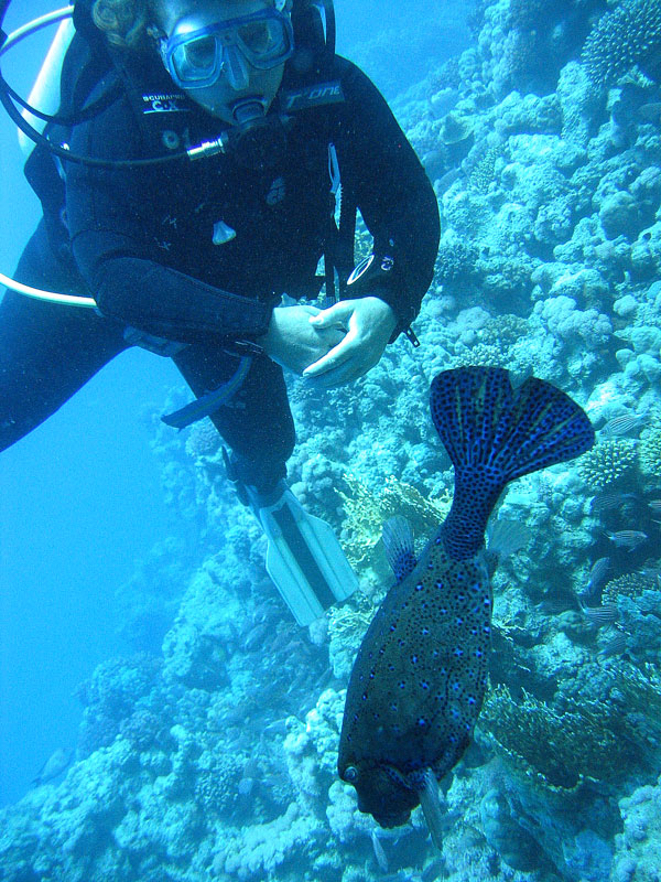 Хургада - 2007 Хургада - 2007