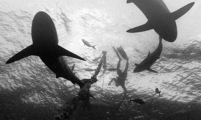 sCuba Diving с Дм.Холоденко! sCuba Diving с Дм.Холоденко!