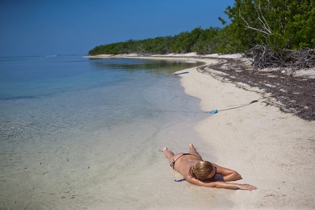 sCuba Diving с Дм.Холоденко!