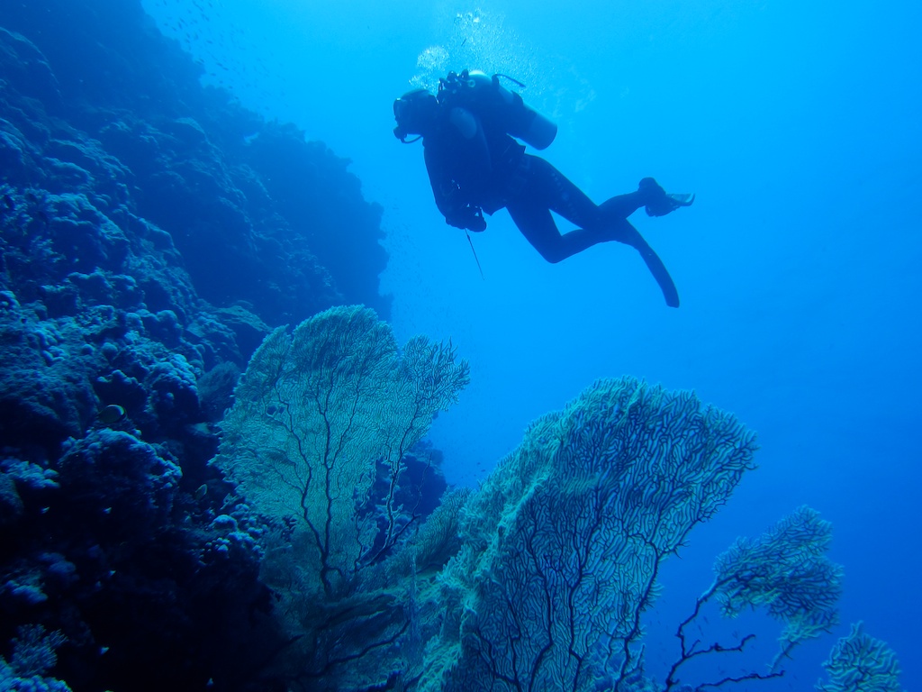 Египет - сафари, Большое Островное Путешествие Египет - сафари, Большое Островное Путешествие