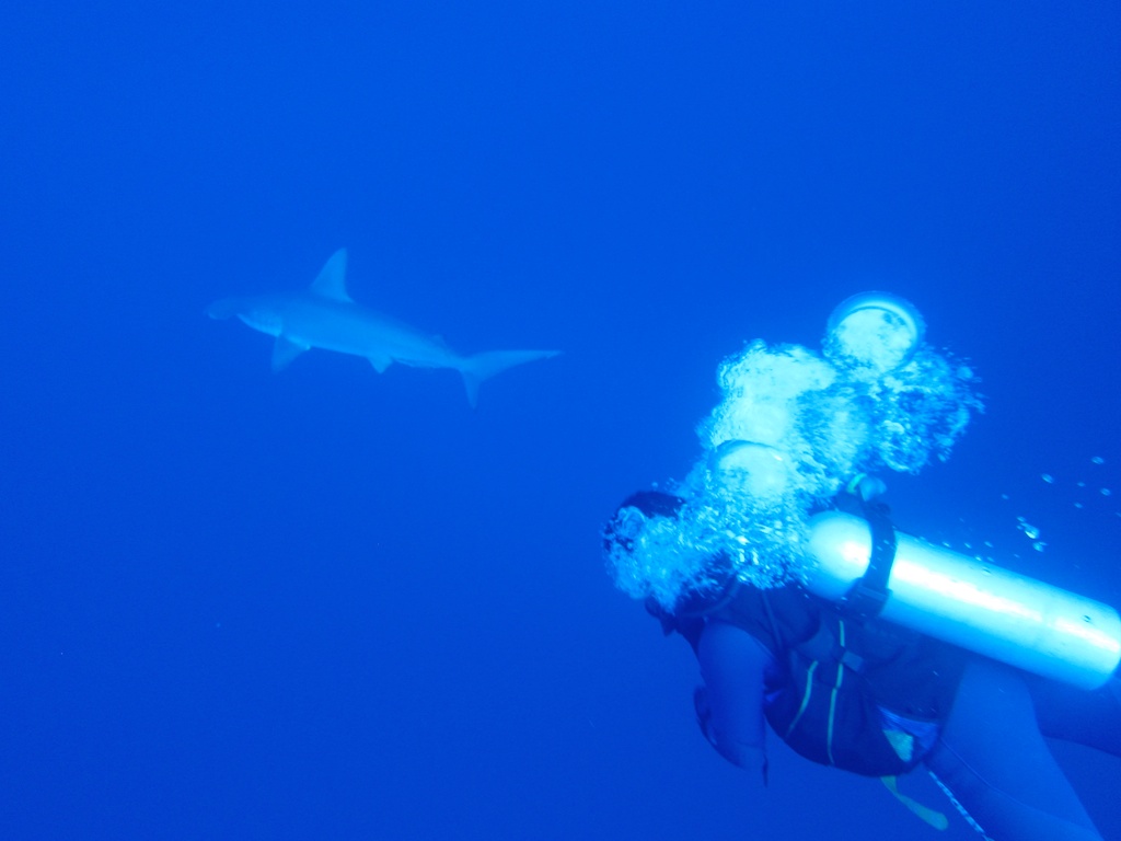 Египет - сафари, Большое Островное Путешествие Египет - сафари, Большое Островное Путешествие