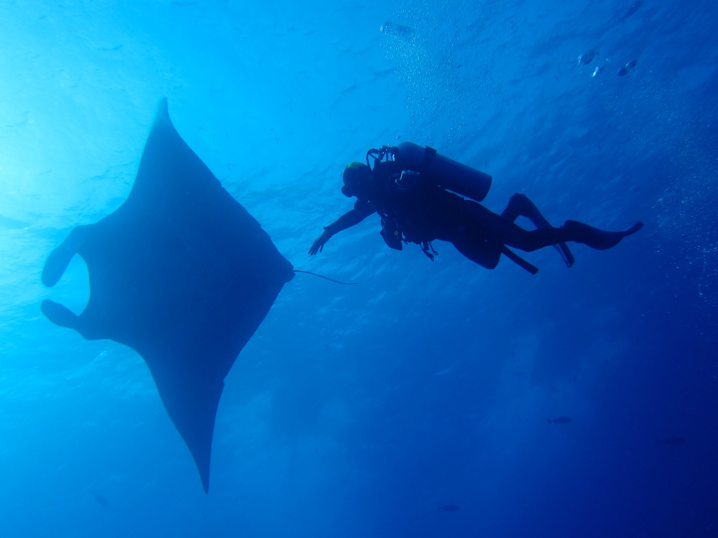 Египет - сафари, Большое Островное Путешествие Египет - сафари, Большое Островное Путешествие