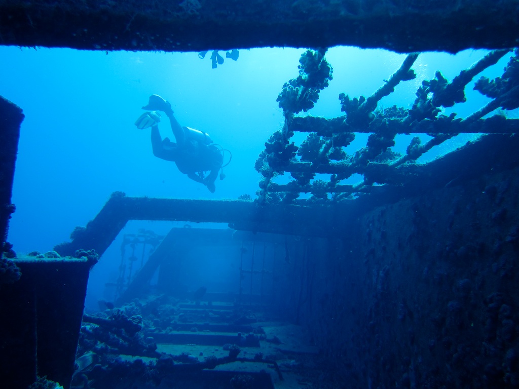 Египет - сафари, Большое Островное Путешествие Египет - сафари, Большое Островное Путешествие