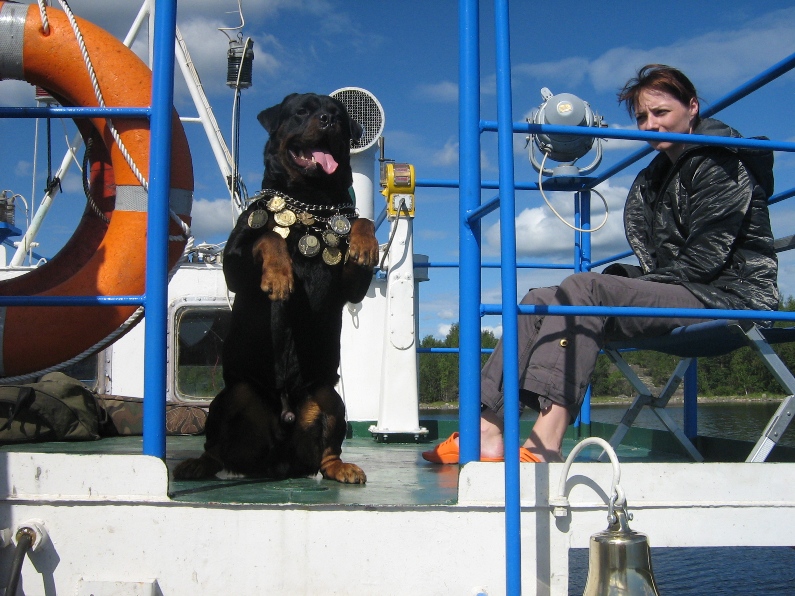 возьми меня возьми меня