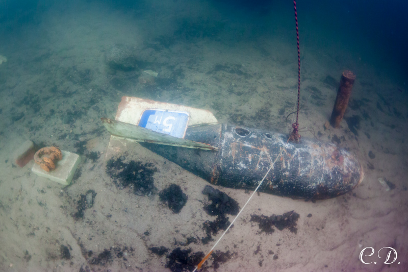 аврора-клуб