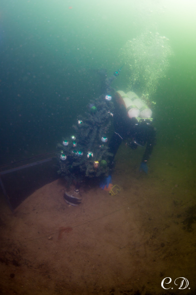 аврора-клуб