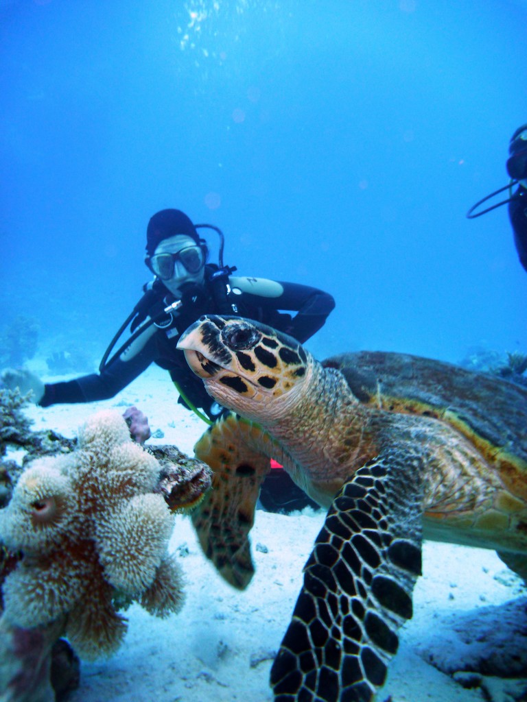 Дальний Юг 2012 Дальний Юг 2012