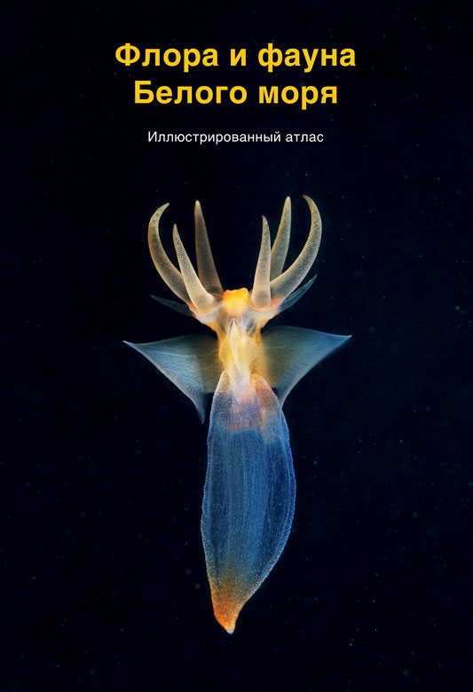 Флора и фауна Белого моря. Иллюстрированный атлас