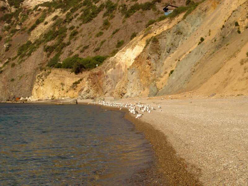 Фиолент_06 Фиолент_06