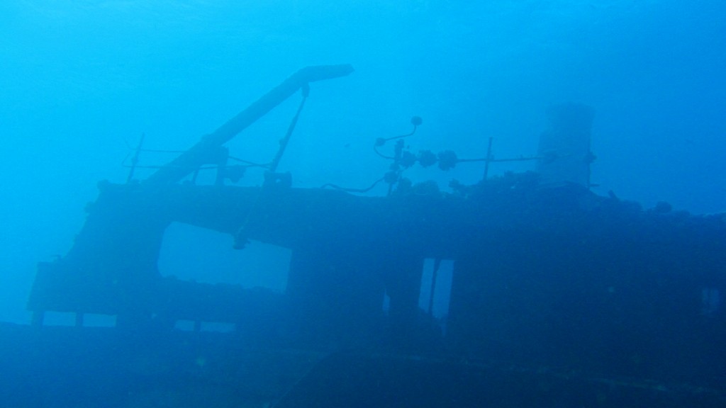 Северное сафари, март 2013 Северное сафари, март 2013