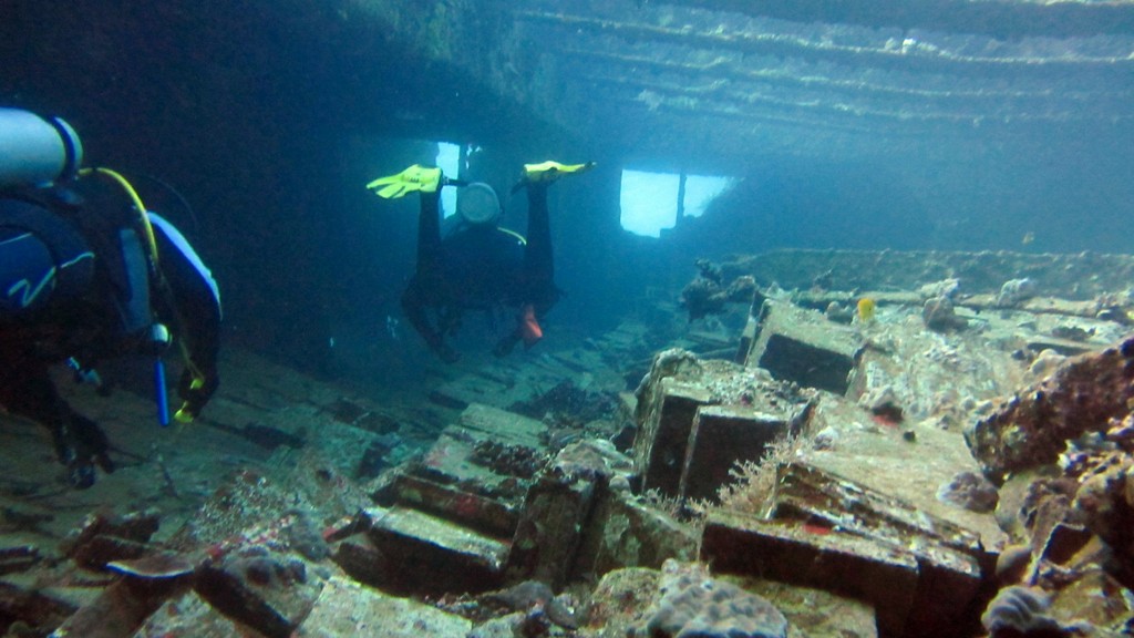 Северное сафари, март 2013 Северное сафари, март 2013