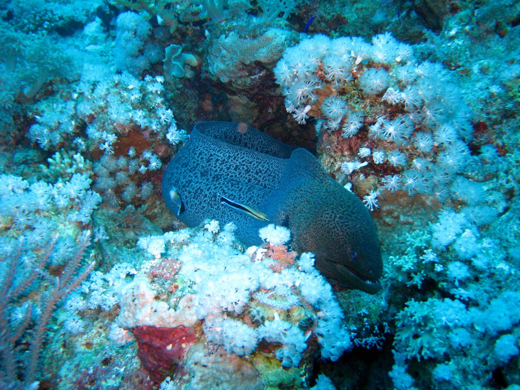 Северное сафари, март 2013 Северное сафари, март 2013