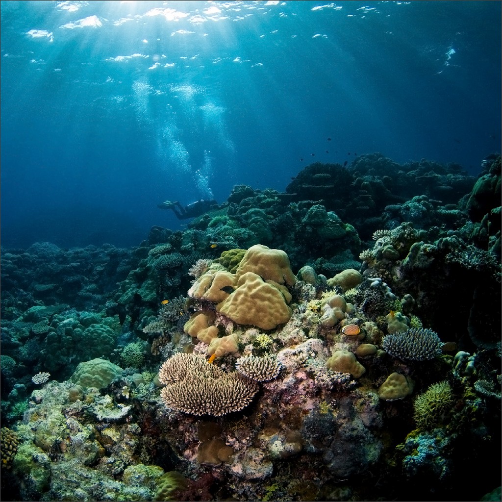 Нетрадиционный север