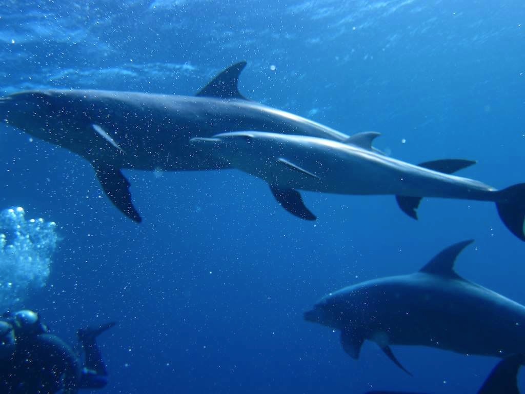 Зимнее солнце в Дахабе Зимнее солнце в Дахабе
