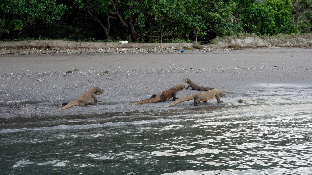 Индонезия_май 2013 Индонезия_май 2013