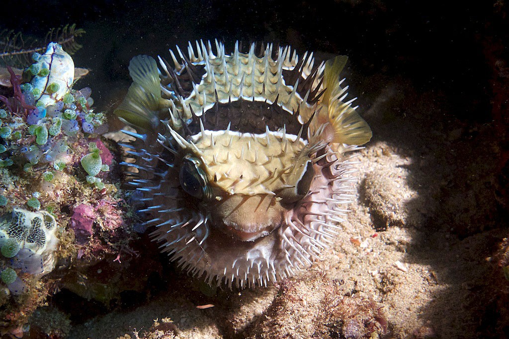 Индонезия_май 2013 Индонезия_май 2013