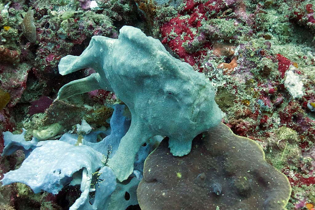 Индонезия_май 2013