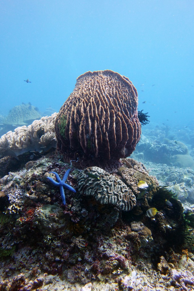 Индонезия_май 2013 Индонезия_май 2013