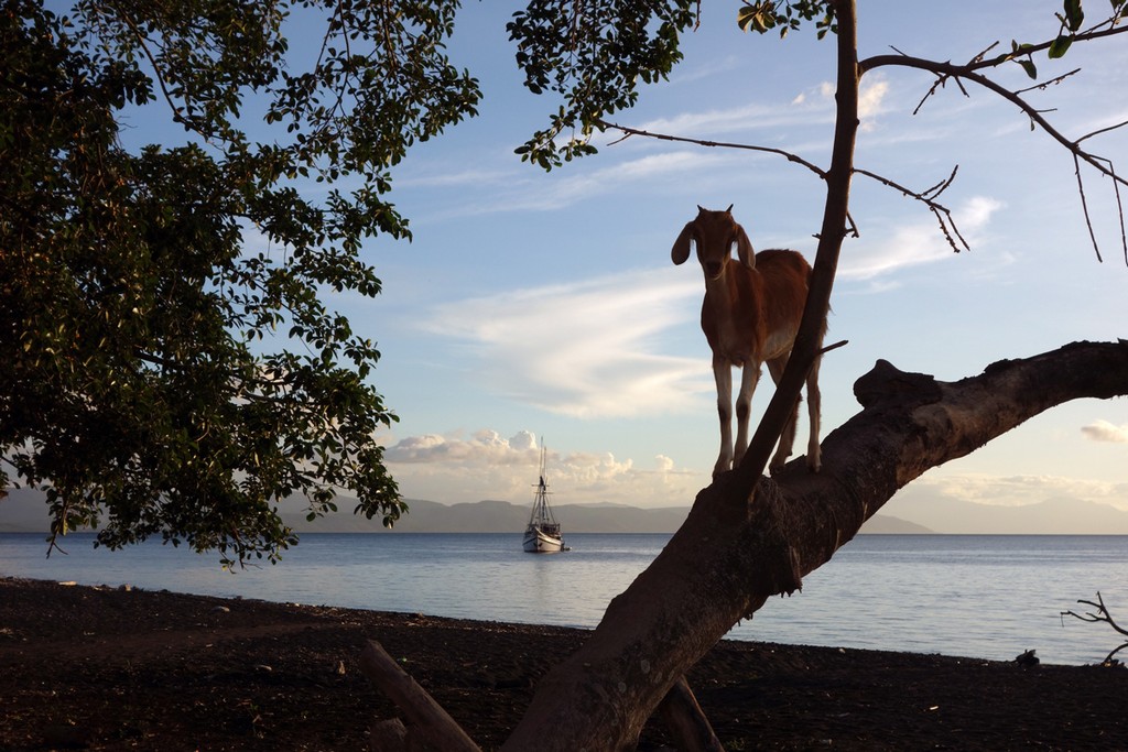 Индонезия_май 2013