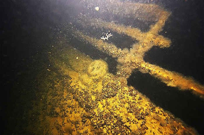 Фрагмент борта