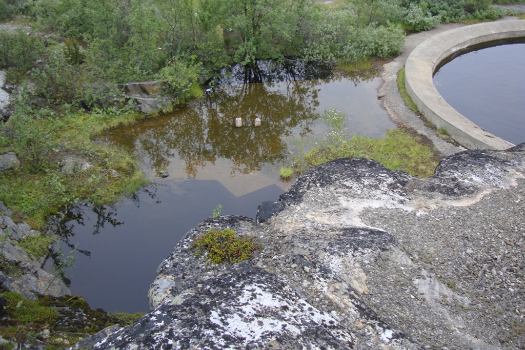 Лиинахомари