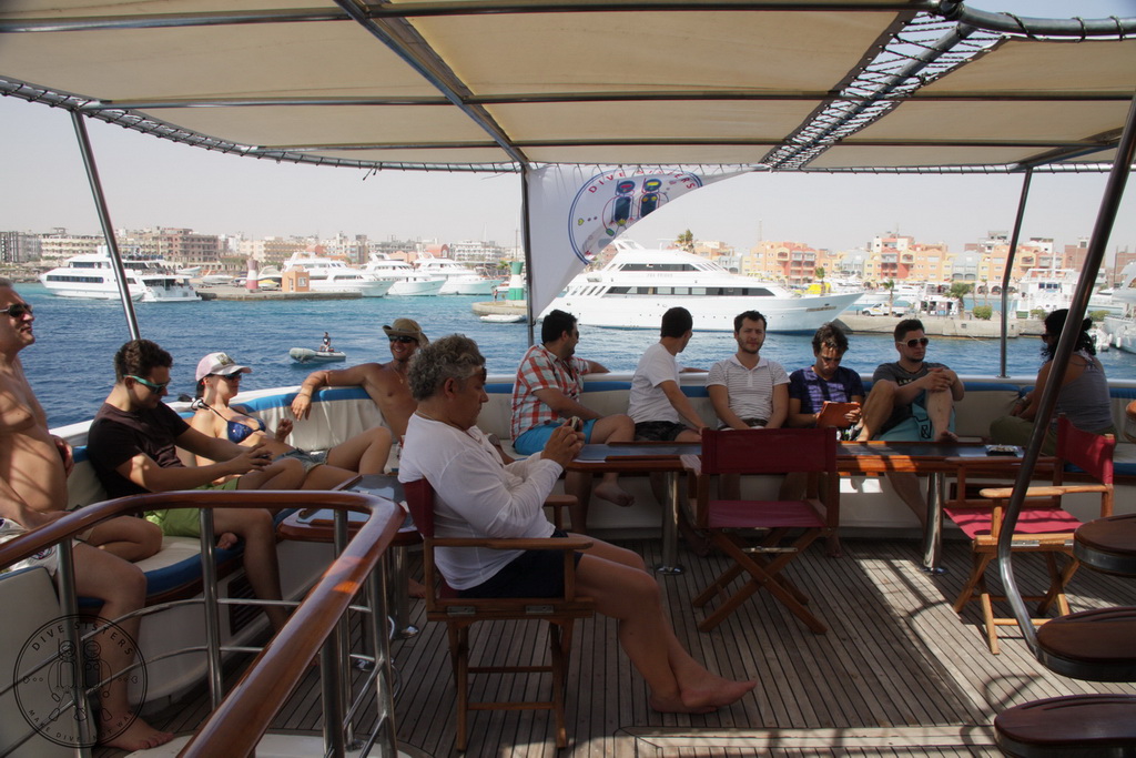 Сафари на Sea Serpent в июле 2013. Бразерсы, Дедалус, Эльфинстоун