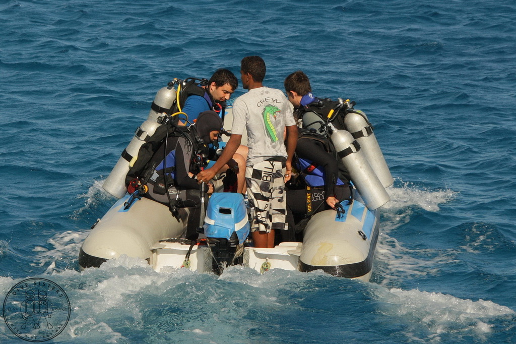 Сафари на Sea Serpent в июле 2013. Бразерсы, Дедалус, Эльфинстоун