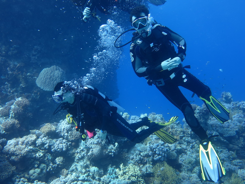 Сафари на Sea Serpent в июле 2013. Бразерсы, Дедалус, Эльфинстоун Сафари на Sea Serpent в июле 2013. Бразерсы, Дедалус, Эльфинстоун