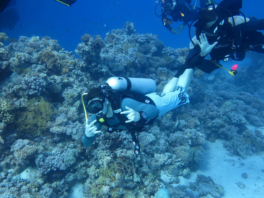 Сафари на Sea Serpent в июле 2013. Бразерсы, Дедалус, Эльфинстоун Сафари на Sea Serpent в июле 2013. Бразерсы, Дедалус, Эльфинстоун