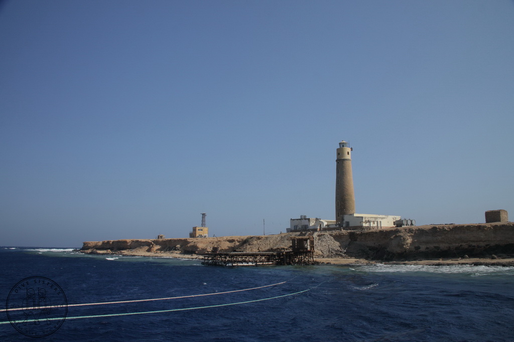 Сафари на Sea Serpent в июле 2013. Бразерсы, Дедалус, Эльфинстоун