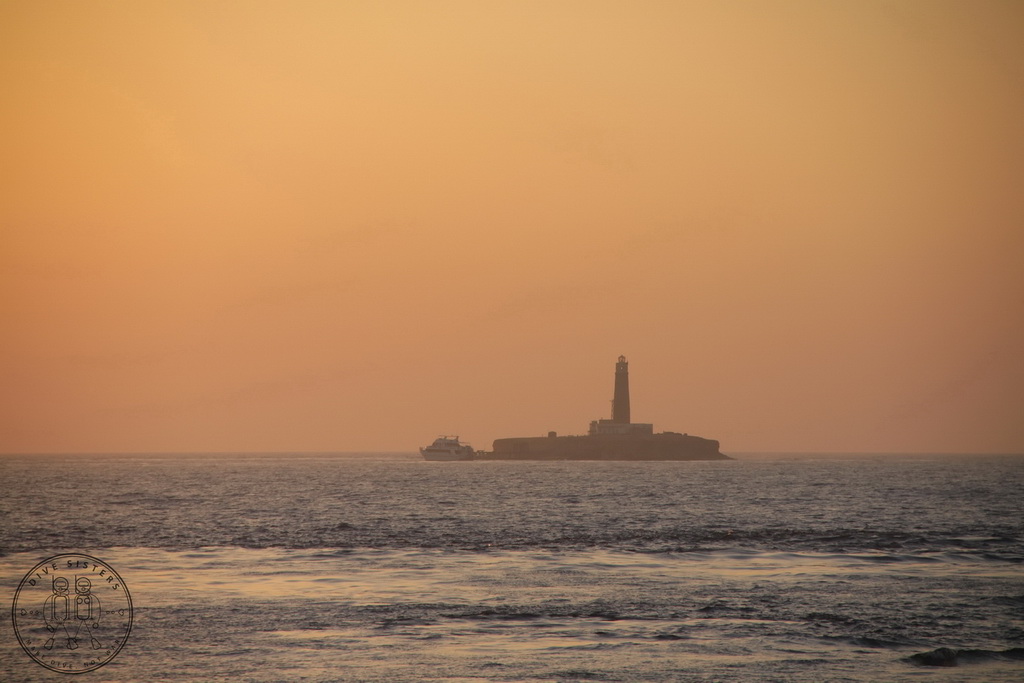 Сафари на Sea Serpent в июле 2013. Бразерсы, Дедалус, Эльфинстоун