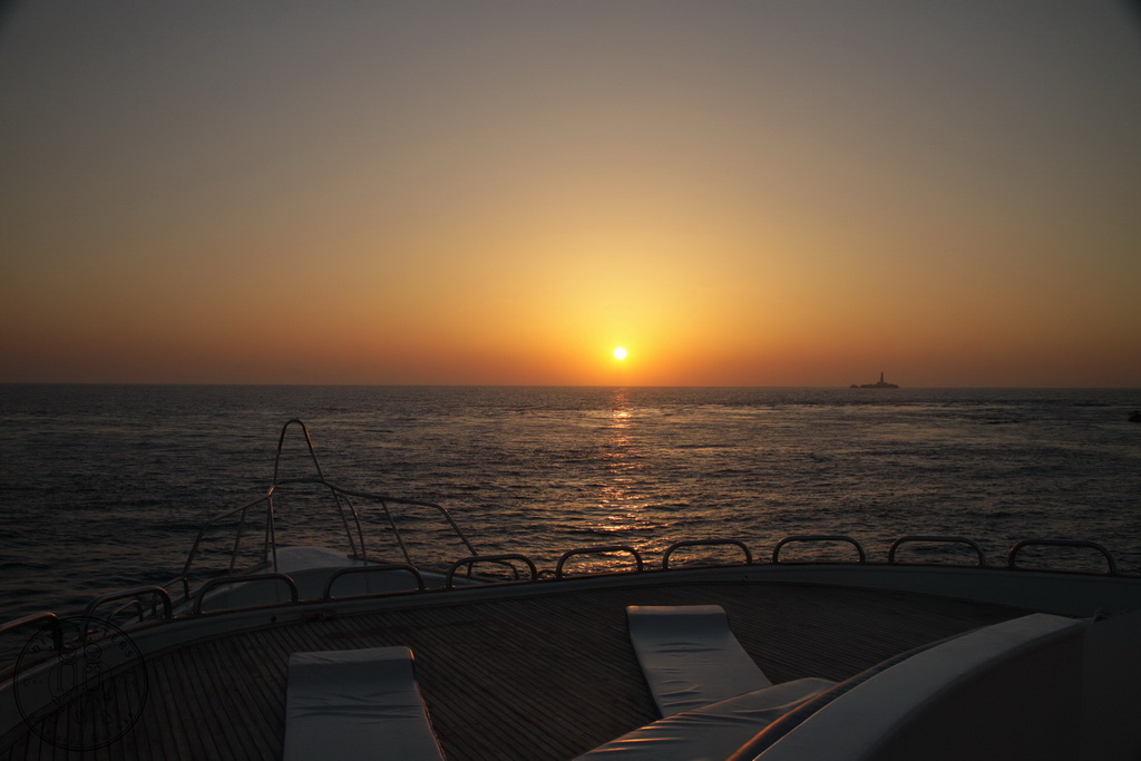 Сафари на Sea Serpent в июле 2013. Бразерсы, Дедалус, Эльфинстоун