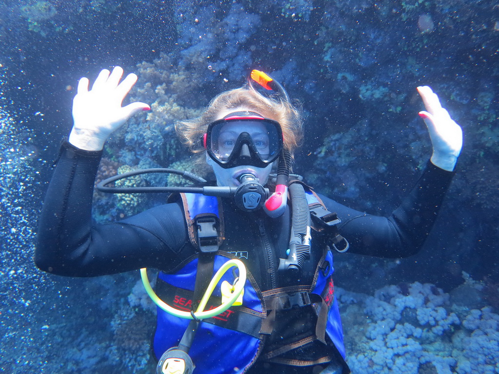 Сафари на Sea Serpent в июле 2013. Бразерсы, Дедалус, Эльфинстоун