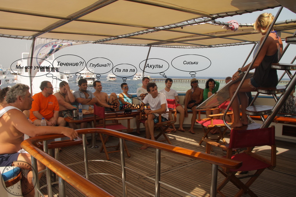 Сафари на Sea Serpent в июле 2013. Бразерсы, Дедалус, Эльфинстоун