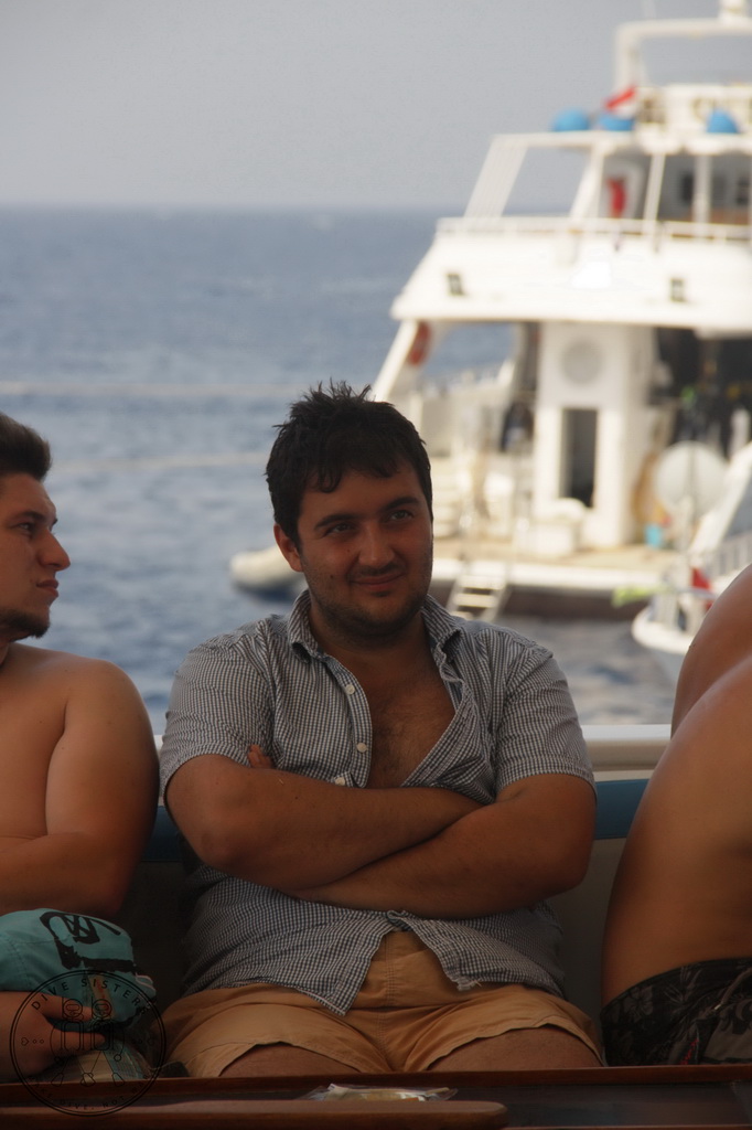 Сафари на Sea Serpent в июле 2013. Бразерсы, Дедалус, Эльфинстоун