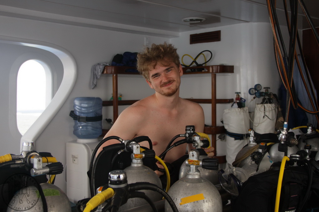 Сафари на Sea Serpent в июле 2013. Бразерсы, Дедалус, Эльфинстоун Сафари на Sea Serpent в июле 2013. Бразерсы, Дедалус, Эльфинстоун