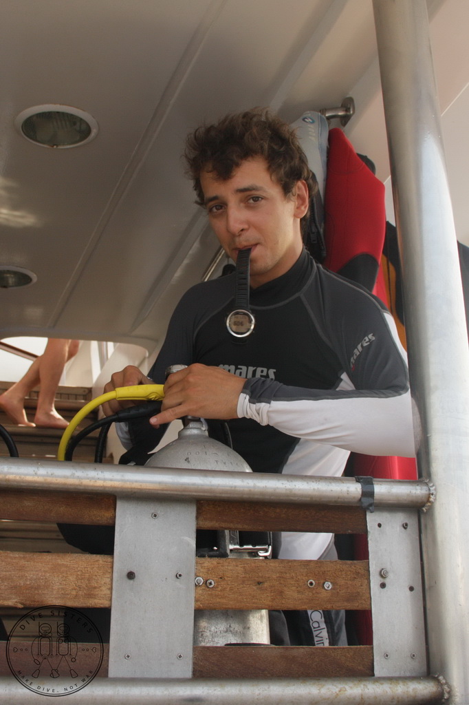 Сафари на Sea Serpent в июле 2013. Бразерсы, Дедалус, Эльфинстоун