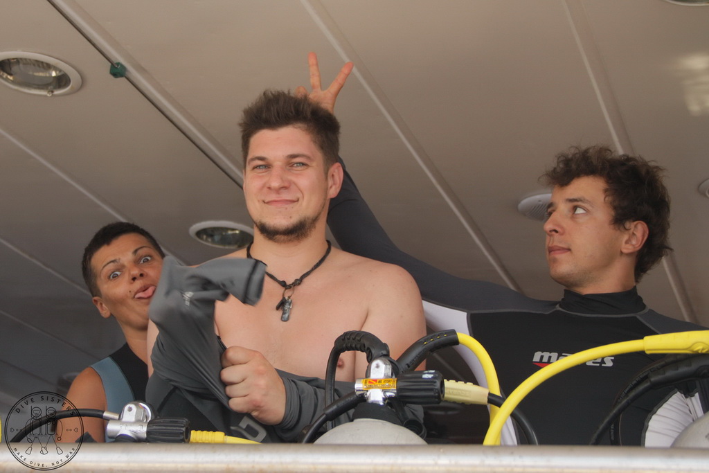 Сафари на Sea Serpent в июле 2013. Бразерсы, Дедалус, Эльфинстоун Сафари на Sea Serpent в июле 2013. Бразерсы, Дедалус, Эльфинстоун