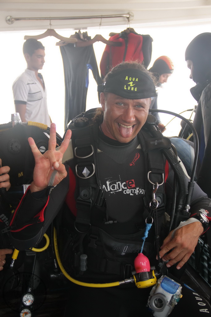 Сафари на Sea Serpent в июле 2013. Бразерсы, Дедалус, Эльфинстоун